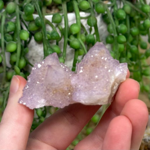 Spirit Quartz Cluster (I749)