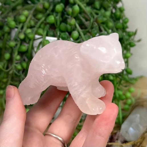 Rose Quartz Bear (K483)