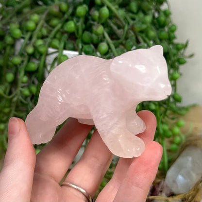 Rose Quartz Bear (K483)