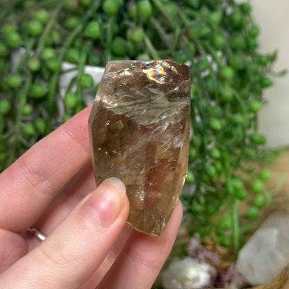 Smokey Quartz Free Form (K834)