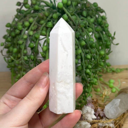 Snow Agate Point (G474)