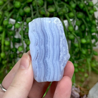 Blue Lace Agate Slice (M62)