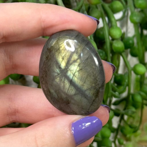 Labradorite Palm Stone (K846)