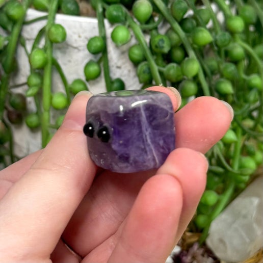 Dream Amethyst Pet Rocks