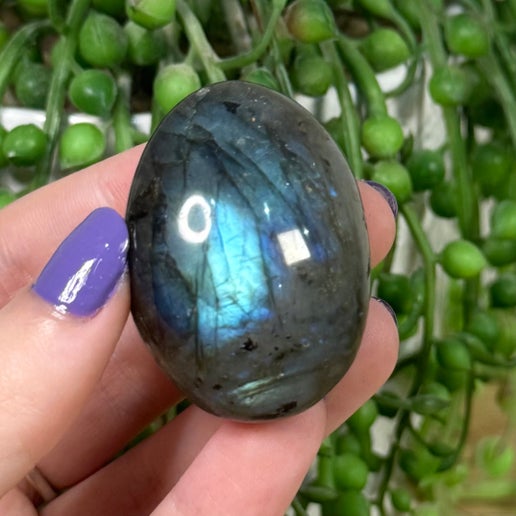 Labradorite Palm Stone (K869)