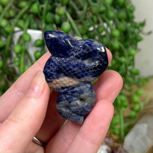 Sodalite Snake (I804)