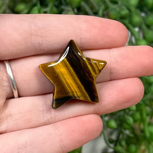 Tiger Eye Small Star