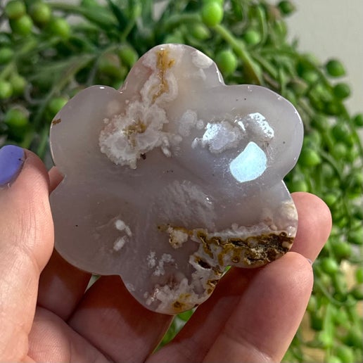 Flower Agate Flower (C967)