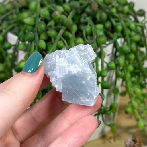 Blue Celestite Chunk (K150)