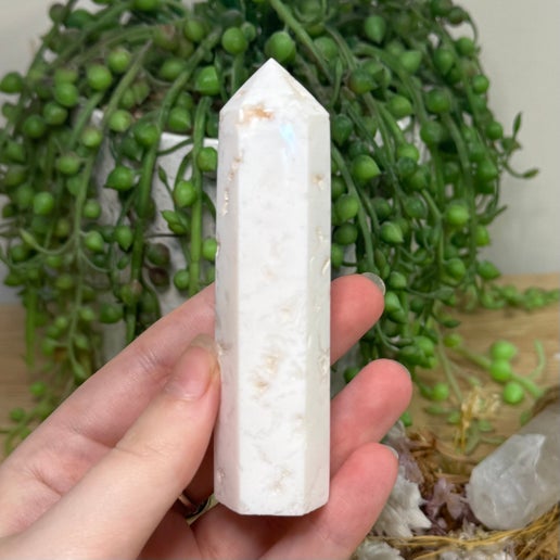 Snow Agate Point (G475)