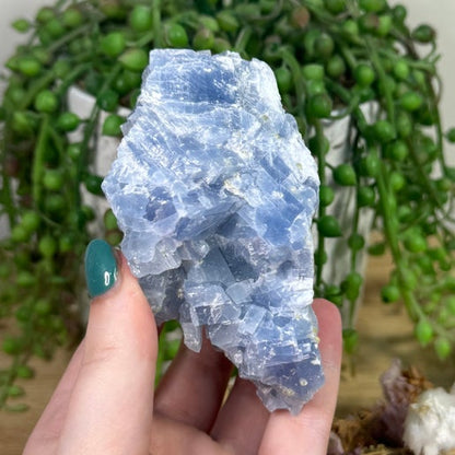 Blue Celestite Cluster (K156)