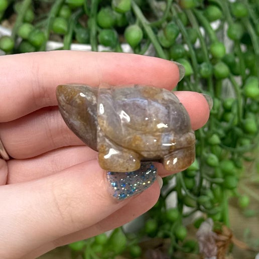 Ocean Jasper Turtle (C387)