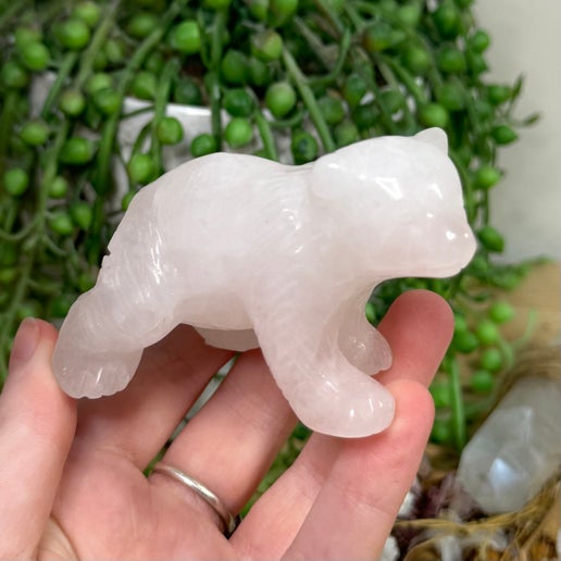 Rose Quartz Bear (K484)