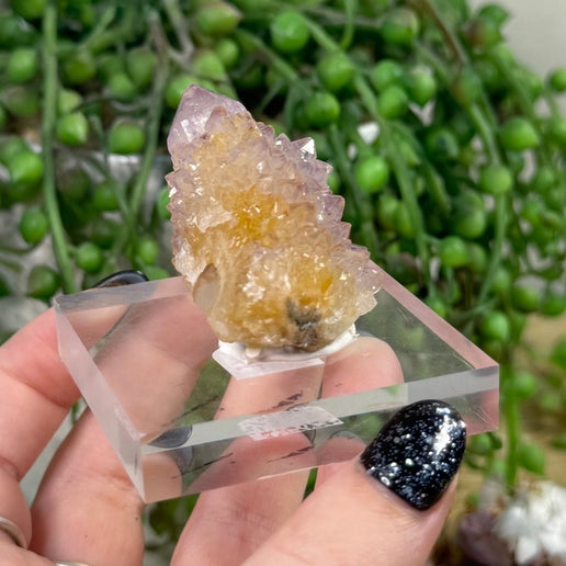 Spirit Quartz Cluster (J700)