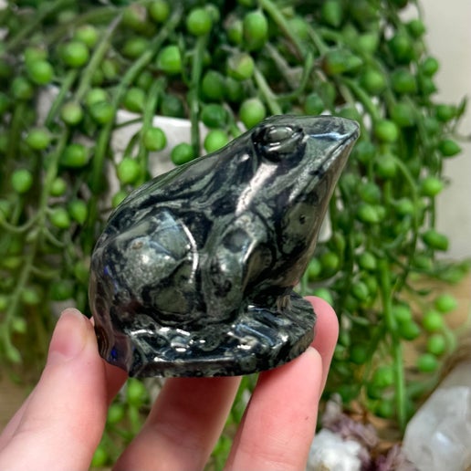 Kambaba Jasper Frog (L315)