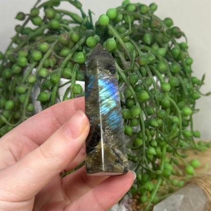 Labradorite Point (A459)