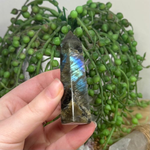 Labradorite Point (A459)