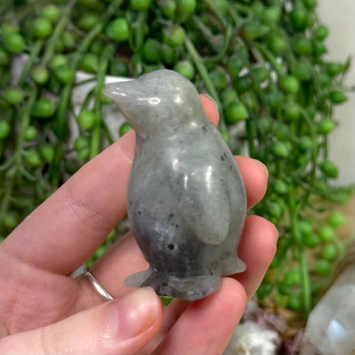 Labradorite Penguin (J892)