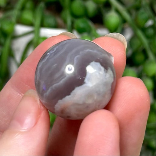 Black Flower Agate Sphere (E144)