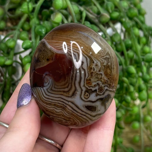 Sardonyx Palm Stone (H929)