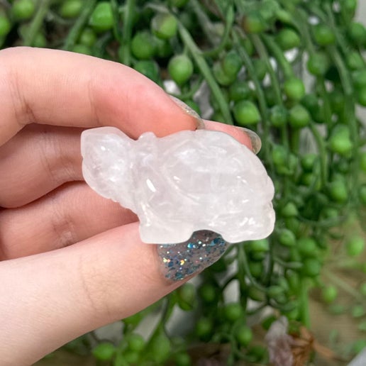 Clear Quartz Turtle (C379)