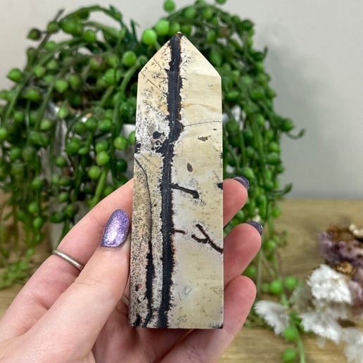 Picture Stone Jasper Point (H774)