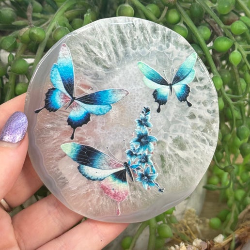 Blue Butterfly Agate Slice (G686)