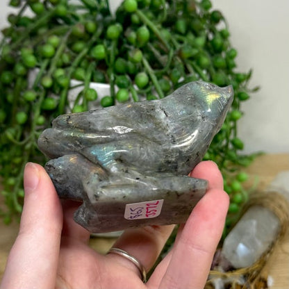 Labradorite Bird (J572)