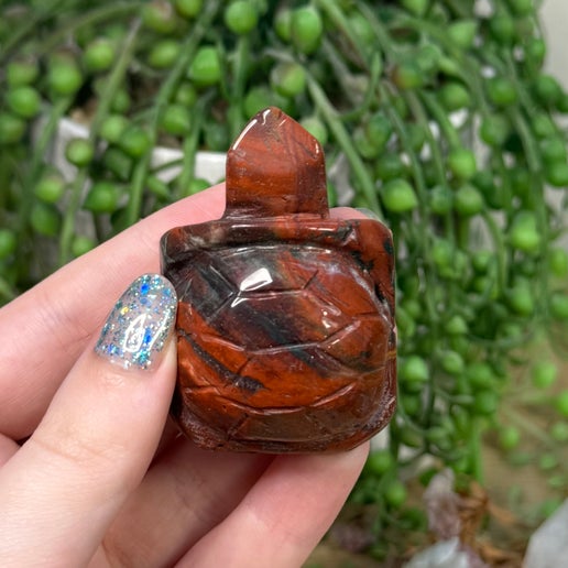 Ocean Jasper Turtle (C269)