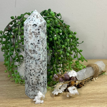 Kiwi Jasper Towers (E412)