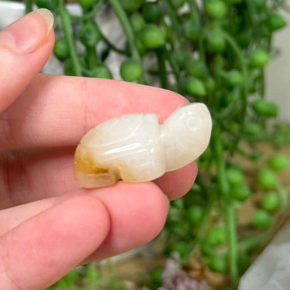 Golden Healer Mini Turtle