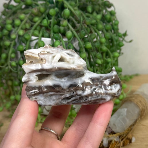 Sphalerite Dragon Head (F63)