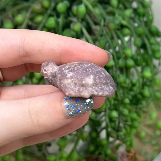 Lepidolite Turtle (B978)