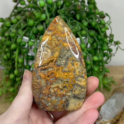 Crazy Lace Agate Arch Free Form (M52)