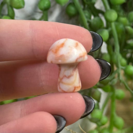 Red Vein Jasper Mini Mushroom