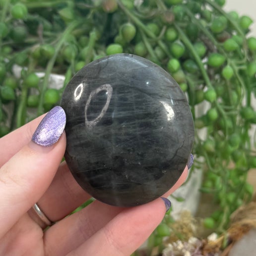 Labradorite Palm Stone (D234)