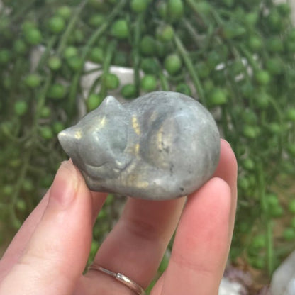 Labradorite Sleeping Cat (E22) (E20)