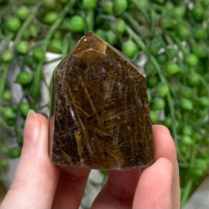 Rutile Point (D147)