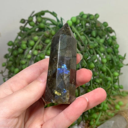 Labradorite Point (A462)