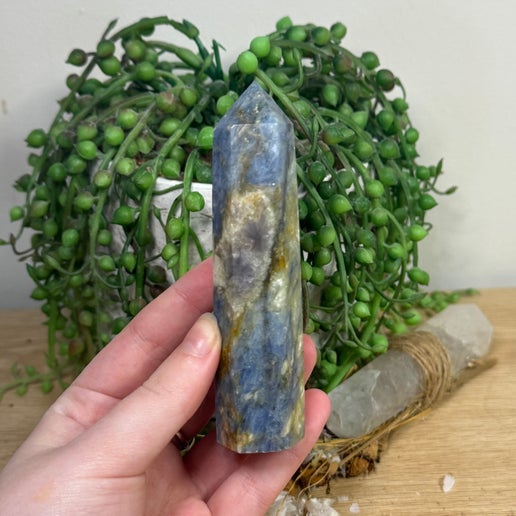 Blue Kyanite Point (L539)