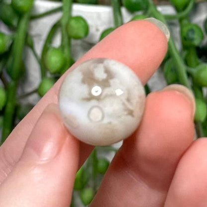 Green Flower Agate Mini Sphere