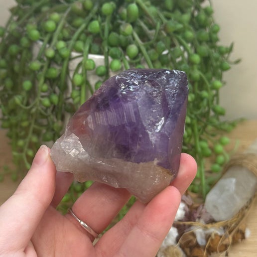 Amethyst Root (J735)