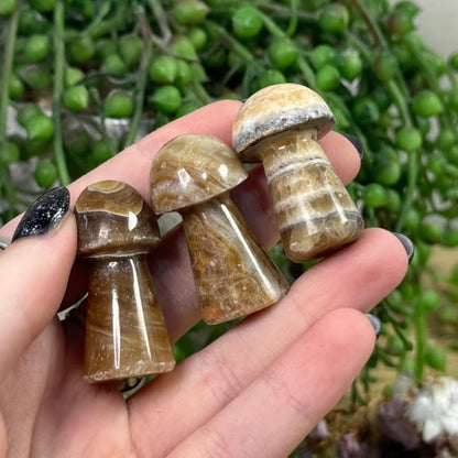 Brown Calcite Medium Mushrooms