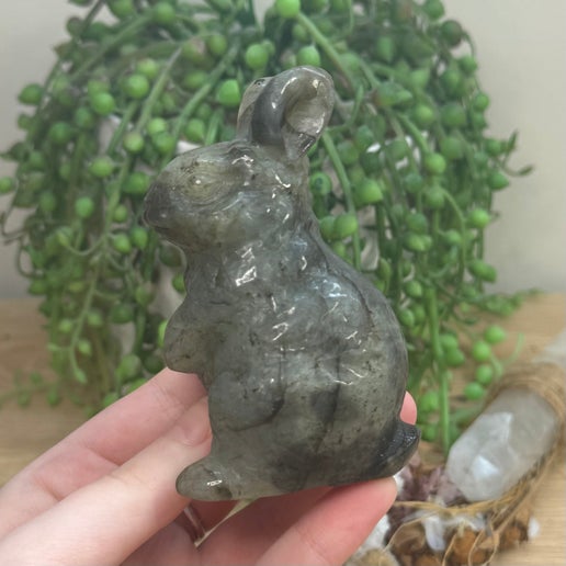 Labradorite Bunny (J902)