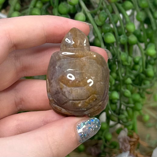 Ocean Jasper Turtle (C387)