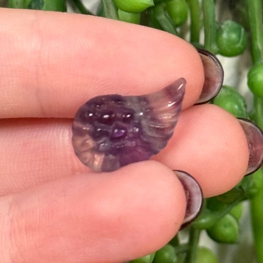 Fluorite Mini Angel Wing