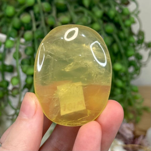 Citrine Palm Stone (M101)