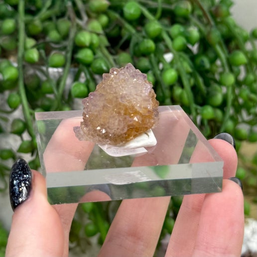 Spirit Quartz Cluster (J694)