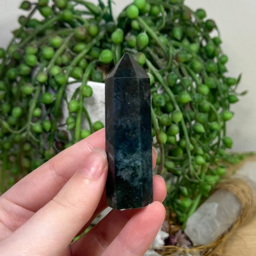 Moss Agate Point (K325)
