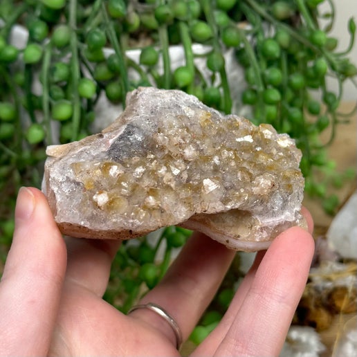 Citrine / Quartz Cluster (I788)